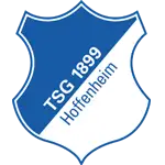 Logotipo do Hoffenheim