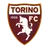 Torino badge