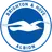Brighton & Hove Albion badge