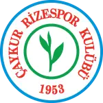 Rize logo