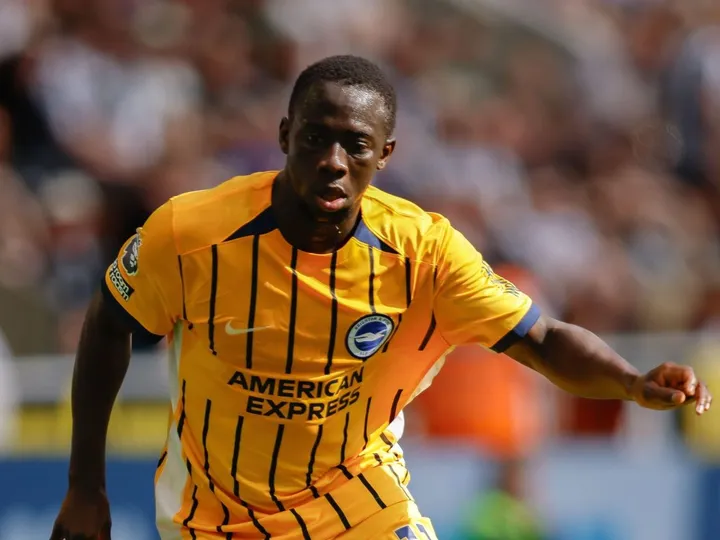 Brighton
x
Bologna – Notícias e Prováveis Escalações
